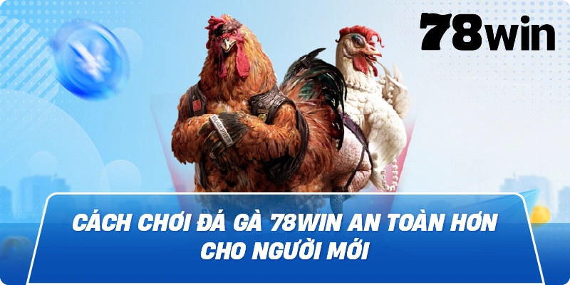 Cách chơi Đá Gà 78win an toàn hơn cho người mới