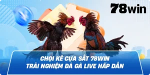 Chọi kê cựa sắt 78win – Trải nghiệm đá gà live hấp dẫn