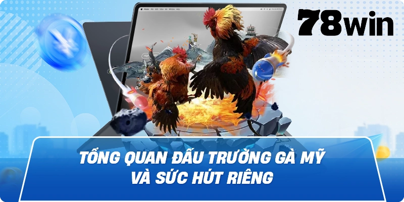 Tổng quan Đấu Trường Gà Mỹ và sức hút riêng
