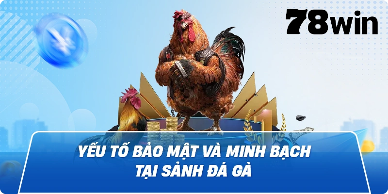 Yếu tố bảo mật và minh bạch tại sảnh đá gà
